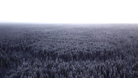 Similar image 22576601