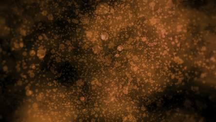 Similar image 22572702