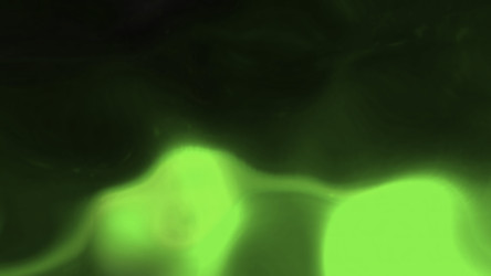 Similar image 22567119