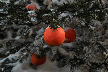 Similar image 22577456