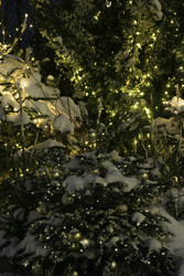 Similar image 22577464