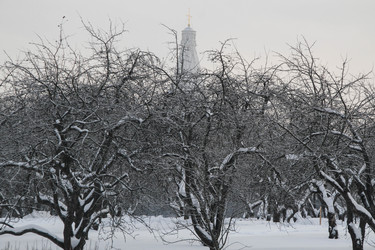 Similar image 22577474