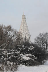 Similar image 22577475