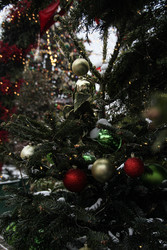 Similar image 22577492