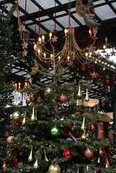 Similar image 22577496