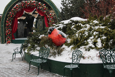 Similar image 22577497