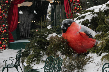 Similar image 22577499