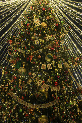 Similar image 22577442