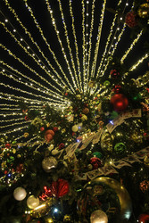 Similar image 22577443