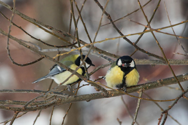 Similar image 22577445