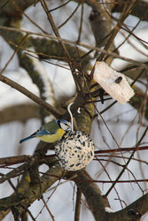 Similar image 22577447