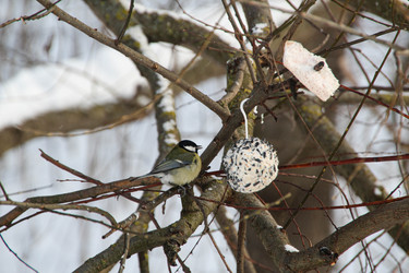 Similar image 22577448