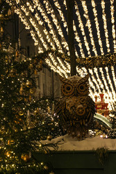 Similar image 22577449