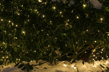 Similar image 22577450