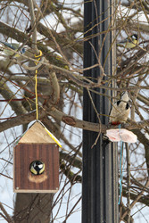 Similar image 22577451