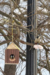 Similar image 22577454