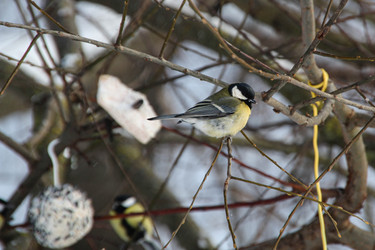 Similar image 22577466