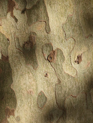 Similar image 22577519