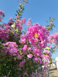 Similar image 22577520