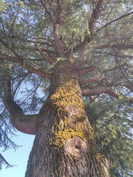 Similar image 22577538