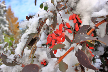 Similar image 22574983