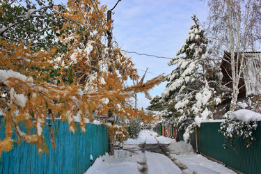 Similar image 22574987