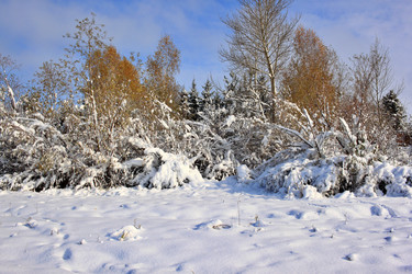 Similar image 22574989