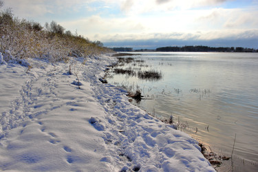 Similar image 22574990