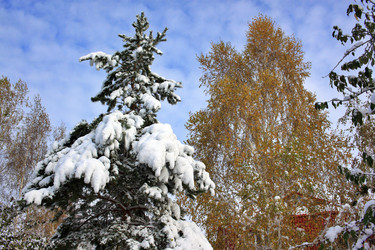 Similar image 22574991