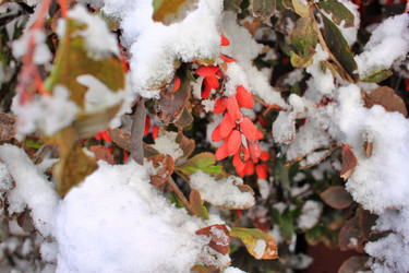 Similar image 22574992