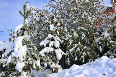 Similar image 22574993