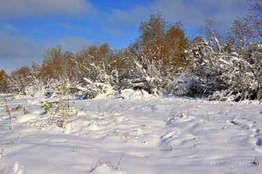 Similar image 22574995