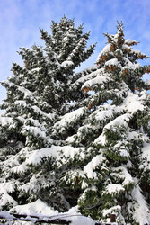 Similar image 22574996