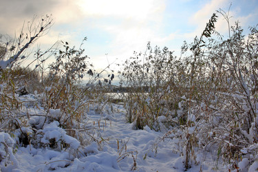 Similar image 22575010