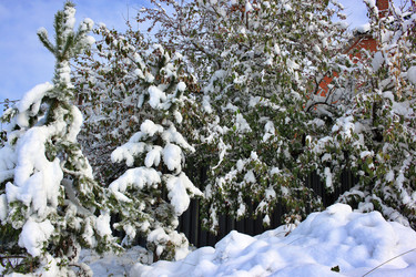 Similar image 22575011