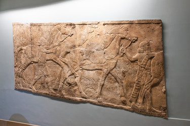 Similar image 22582857