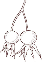 Similar image 22577132