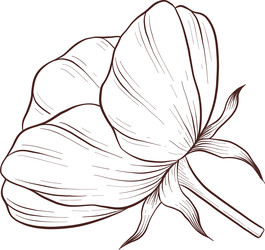 Similar image 22577135