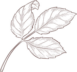 Similar image 22577148