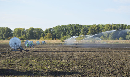 Similar image 22574964