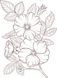 Similar image 22577160