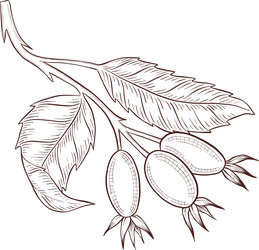 Similar image 22577161