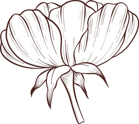 Similar image 22577162