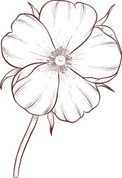 Similar image 22577167