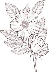 Similar image 22577172