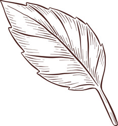 Similar image 22577175