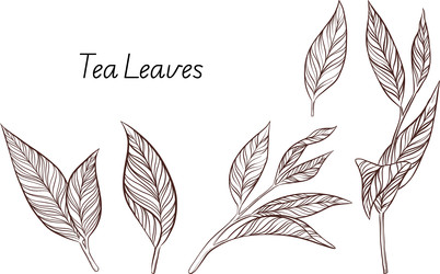 Similar image 22577179