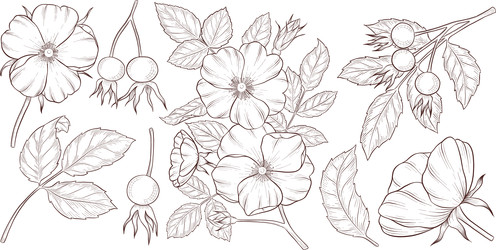 Similar image 22577180