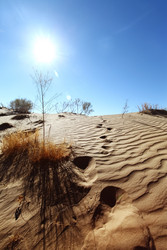 Similar image 22580442