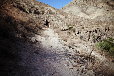 Similar image 22580445